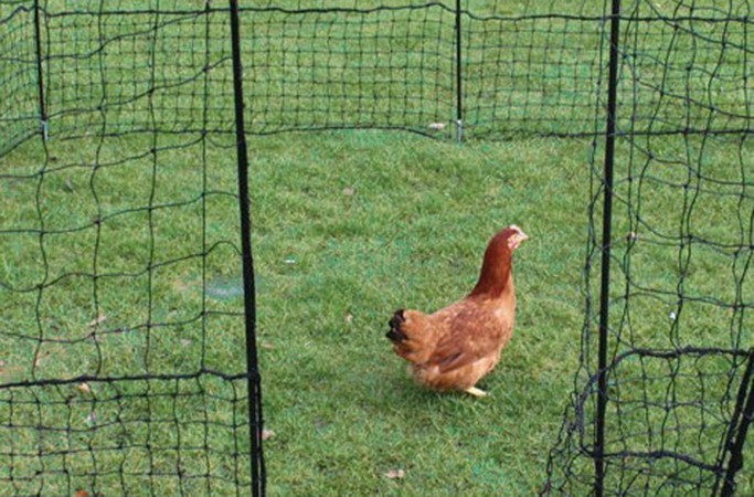PE chicken fence net